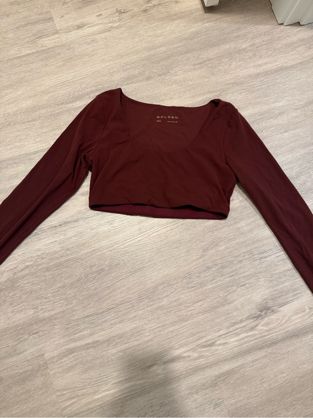 Aritzia Golden Longsleeve Crop Top